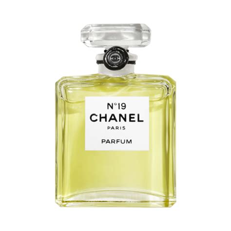 chanel parfum no 19|Chanel no 19 price.